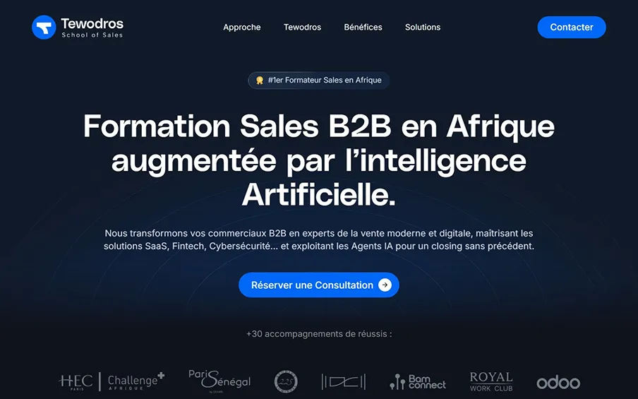 Page d'accueil du site Tewodros avec un titre sur la formation Sales B2B en Afrique augmentée par l'intelligence artificielle et un bouton bleu pour réserver une consultation.